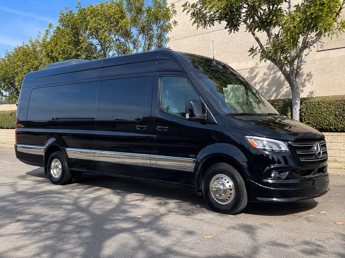 tampa 15 passenger sprinter van
