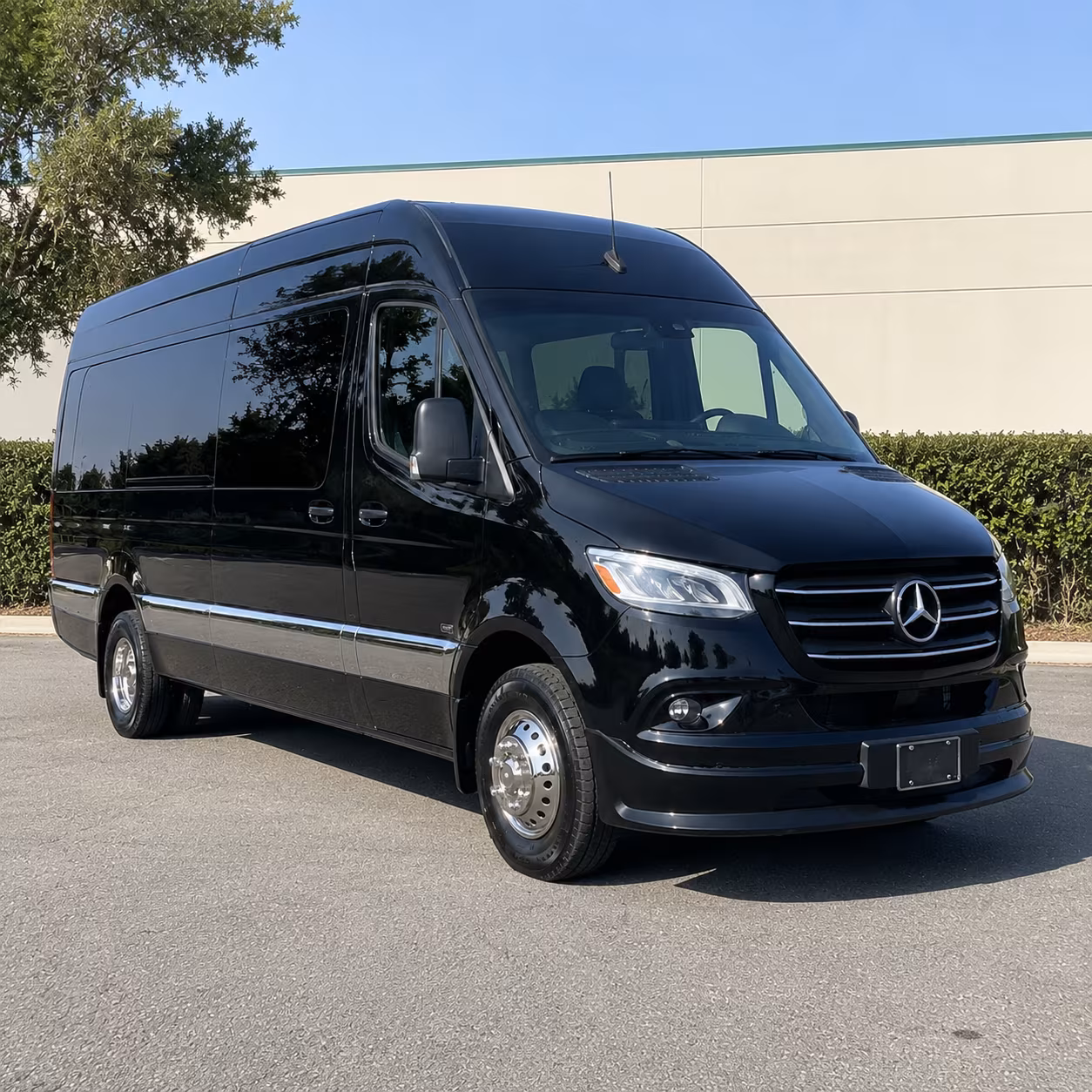 tampa 8 passenger sprinter van