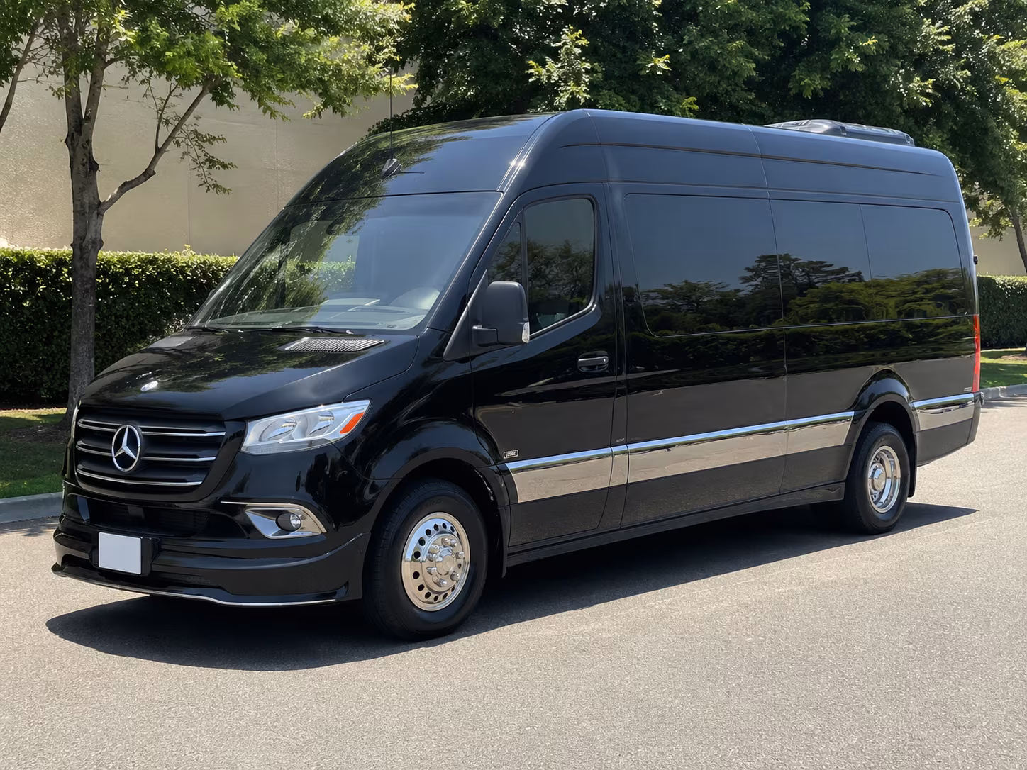 Tampa Wedding Transportation